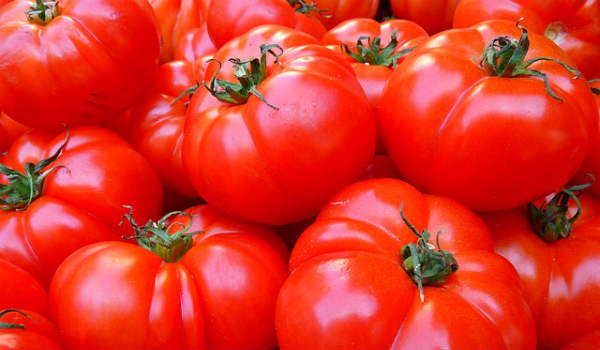 美味しいトマトの選び方と栄養で美と健康力UP