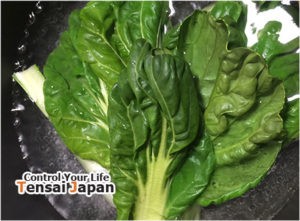 メキシコほうれん草のディップのレシピ