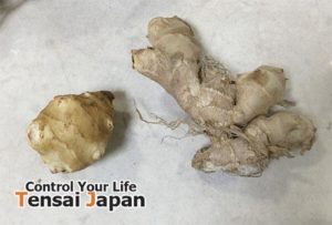 菊芋の栄養の魅力