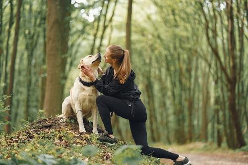 毎日犬の散歩できる余裕はあるか?なぜ必要?